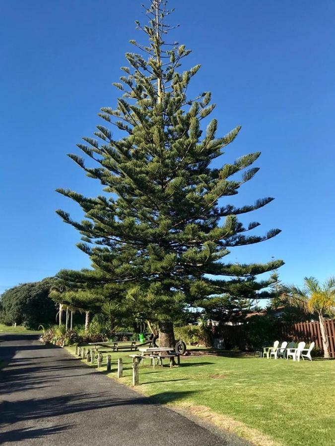 Beaches Motel Waihi Esterno foto